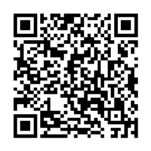 它的原理是用丹药内蕴藏的灵气不间断的供给给人体二维码生成