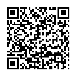 它的嘴里忽然发出了一声声几乎很难察觉出的声波二维码生成