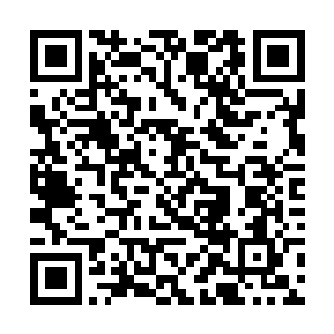 它的收益甚至可以和自己那个离岸公司的名字相媲美二维码生成