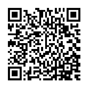 它的时间火网的威力可不同小的太古熔岩神兽的时间火网的威力二维码生成