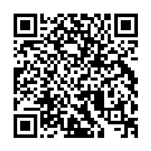 它的消化能力也随着元始族不断供应最纯净的灵能结晶而衰弱二维码生成