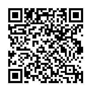 它的脂肪骨血在水中经历亿万年的时间浸泡而侥幸得存的话二维码生成