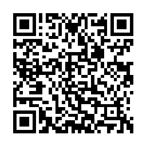 它的脑袋已经被苏林两只魔爪牢牢的禁锢了起来二维码生成