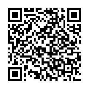 它的行为引来了种族的恐慌――它们把那只叛逆的棂杀死了二维码生成