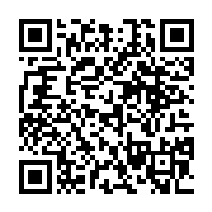 它的身上挂满了装饰用的各种五颜六色呼闪呼闪的彩灯二维码生成