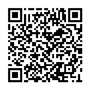 它的身旁也迅速挤出一只只造型各异的雷兽头颅二维码生成