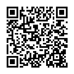 它看着唐虎和赵静石身上紫幽派内门弟子的服饰二维码生成