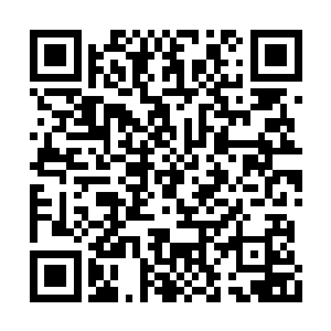 它真正的本体是混沌之中的一道至刚至阳的雷霆二维码生成