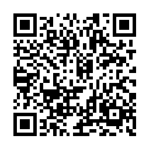 它立刻被在霍君白禁锢下的一层层淤泥包裹起来二维码生成