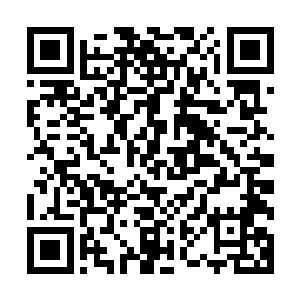 它能在万米之外就能通过一个骑士的脉轮气息锁定住一个骑士二维码生成