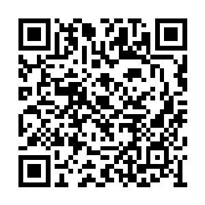 它行动再快也抵不过源源不断涌进来的人海战术二维码生成