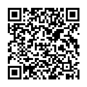 它被那些奇奇怪怪的妖怪们传染了某些慵懒的习惯二维码生成