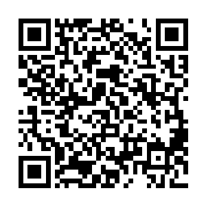 它说什么也不会为了能够独吞自己找到的灵药而独自先行二维码生成