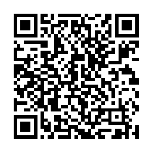 它身上厚厚的粘液就如同一团厚实的保护层和缓冲层二维码生成