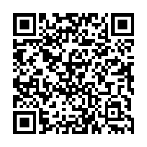 它身边最后一只保护它的斑鬣狗也死在了那个人类的刀下二维码生成