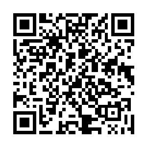 它还会继续生长且不会败坏这一点就十分值得我们去种植二维码生成