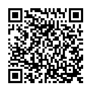 它还可以通过吸收混沌神海之中的一些特殊的生机灵髓和灵土二维码生成