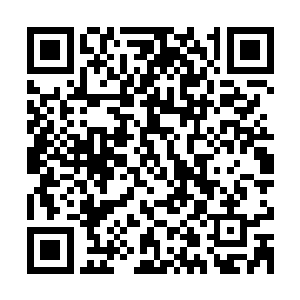 它还故意掀起波浪不让那个有好闻味道的人类离开河水回到岸上二维码生成