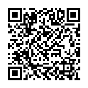 它那庞大的身躯依然拥有着极为恐怖的飞行速度二维码生成
