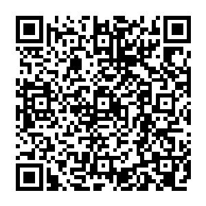 它那庞大的身躯竟是被那虹光一样的吞噬剑芒直接给轰击的在云层之上倒退出去数百米二维码生成