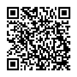 它隐约知道杨开在这无尽长河中上下穿梭是在参悟混沌化万道二维码生成