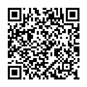 宅里的侍女们一盘盘的把年夜饭的饭菜端了上来二维码生成