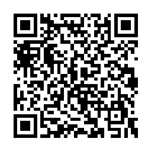 宇宙网里的修士们全都紧张地追随着我们的身影二维码生成