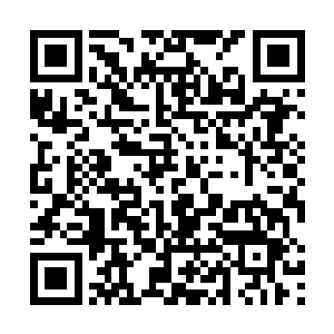 宇宙网里的修士们对这样一边倒的形势已经有些腻烦了二维码生成