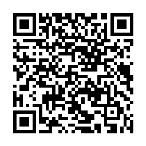 宇宙网里的修士们感应到持衡界主体内暴发的灵魂气息二维码生成