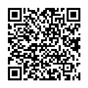 宇宙网里的修士们来不及观看基层军队的战斗情况二维码生成