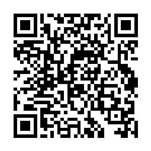 宇文紫瑶似乎也有些大概的知道林放跟林动之间的关系了二维码生成