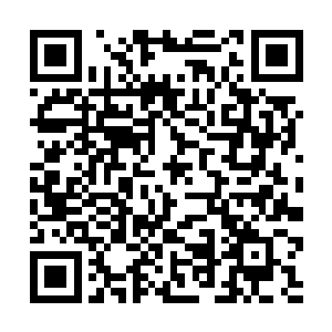 宇文苍的第二件事便是对一剑斩下的代离喊了一句话二维码生成
