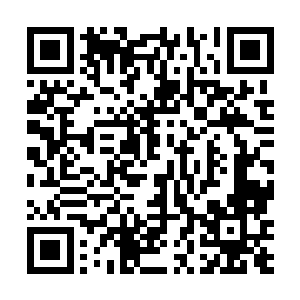 宇文长老傻眼一时无言以对脸上红一阵白一阵十分难看二维码生成