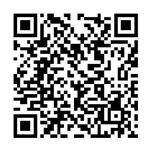 守卫东京的将领看的不是你的军事才华如何的出众二维码生成