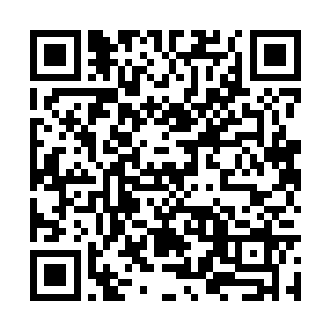 守卫在看了两人的证件后甚至还恭敬的敬了一个礼二维码生成