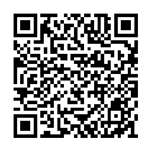 守卫的人一个个全都是满脸不可思议的看向夏天二维码生成