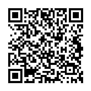 守卫都换成了由暂时没有任务的近卫军轮流值守二维码生成