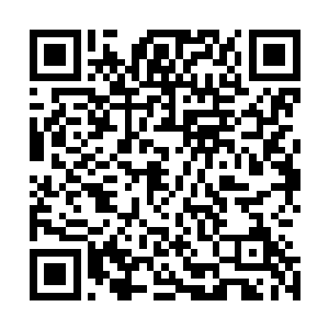 守在各个路口前方的精锐们也都收起了最后一缕玩闹的心思二维码生成