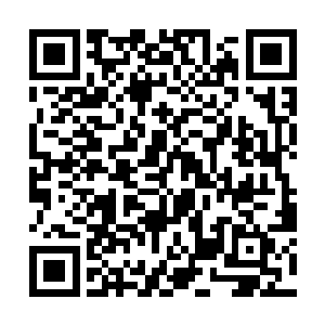 守在庄园门口的两名闪灵族战士就把庄园的大门打开二维码生成
