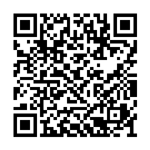 守在机舱门口处的那个小弟似乎是察觉到了什么二维码生成