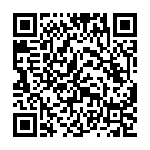 守护神祗的陨落让控制气候的自然结界完全损毁二维码生成