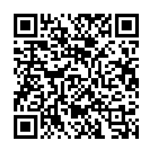 守旧派的官员宁可暂时先选择和刘瑾合作来对付曾毅了二维码生成