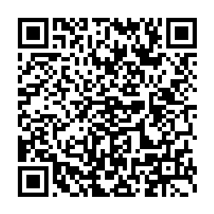 守林人师父鬼魂看到我和澹台璃之后很是开怀模样丝毫不见多余情绪二维码生成