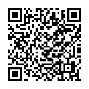 守林人这个时候转过身瞟我一眼后盘膝坐在地面二维码生成