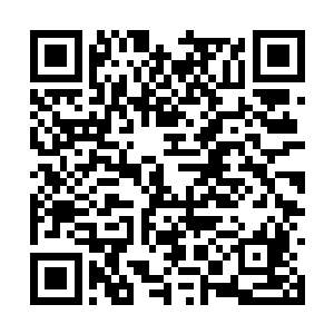 安东尼一霍普金斯和布拉德一皮特在其中都奉献了二维码生成