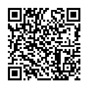 安东尼清楚的看到不断有降落伞弹出来给火箭减速二维码生成
