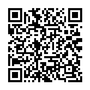 安东赛尔就从他长期供职的一家海运公司辞职了二维码生成