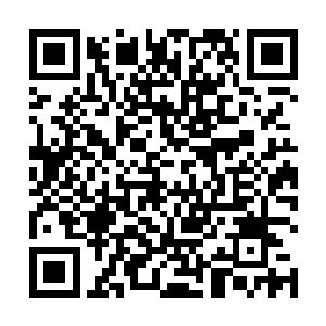 安保队长和敬察看到了那被叶秋击碎的前台表情愣住了二维码生成