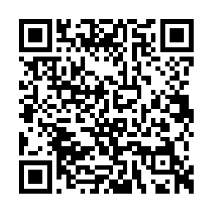 安在给艾登讲述最新构思出来的抽取源血的方法二维码生成