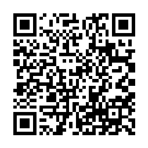 安妮兴致勃勃的说着她的欢喜哥如何如何的威风二维码生成